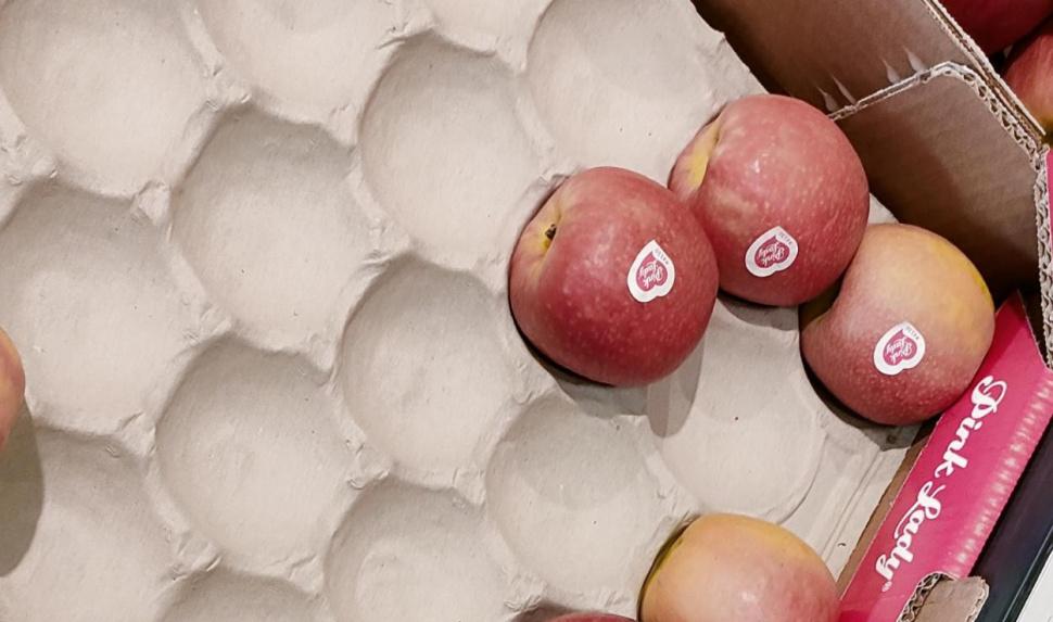 Apples Pink Lady Apples Germany