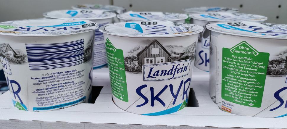 Milk Products Skyr Germany